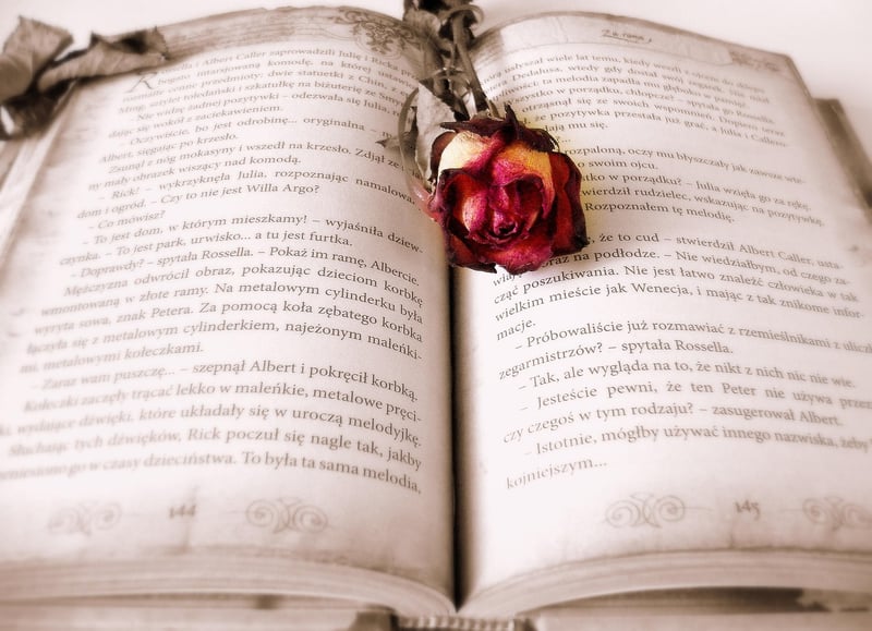 Vintage Books and Wildflowers